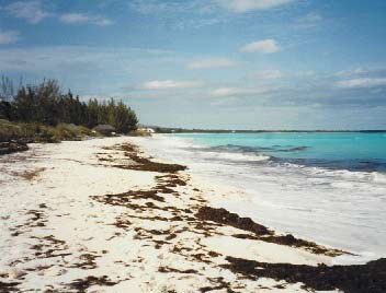 Bahama beach