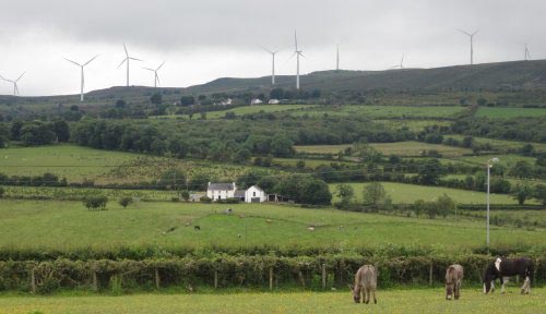 Belfast_Windmills2