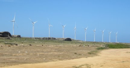 Aruba windmills