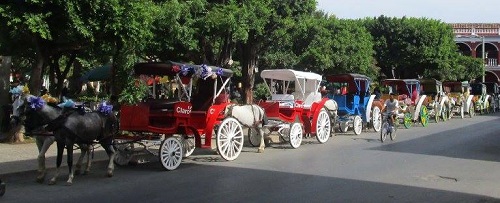 Horse and carriages rides in Granada, Nicaragua