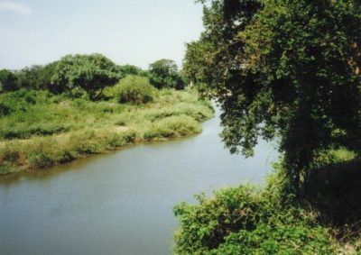 Kruger National Park river