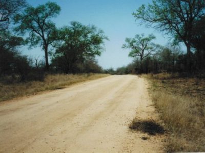 roadway inside Kruger National Park